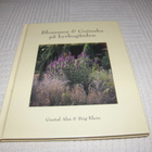 Alm - Klein Blommor och grönska på kyrkogården - pikkukuva 1