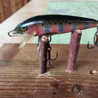 Rapala Floating Ireland 5cm - pikkukuva 2