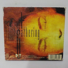 TESTAMENT - THE GATHERING CD + NIMMARIT x 2 - pikkukuva 3