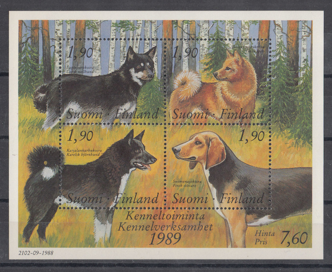 1989 Kennel blokki **