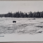 Kotka Langinkoski postikortti+negatiivi - pikkukuva 1
