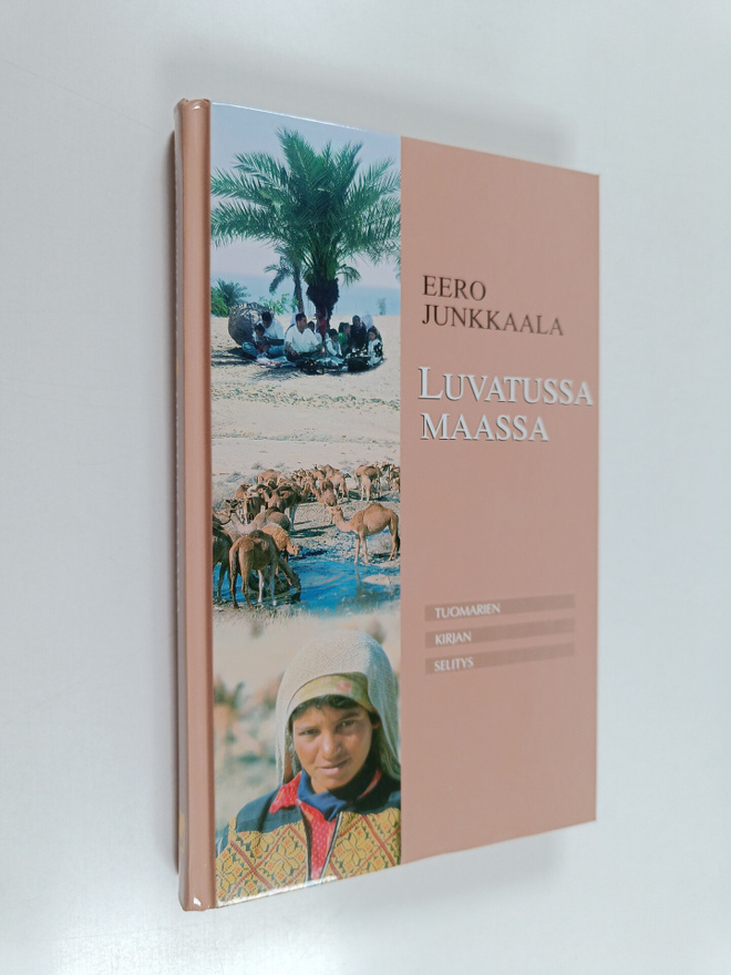 Eero Junkkaala : Luvatussa maassa : Tuomarien kirjan selitys