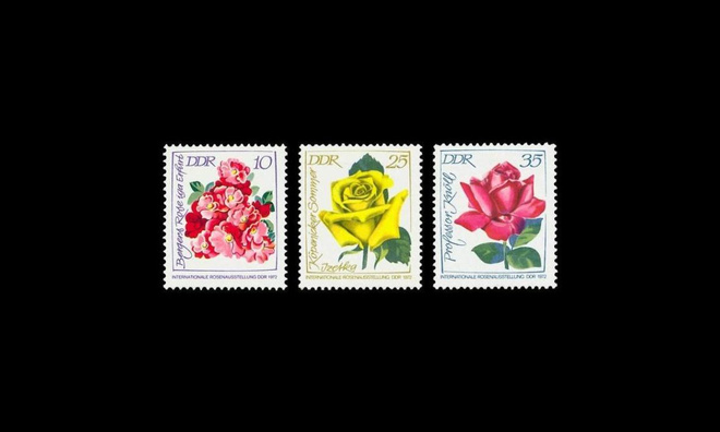 DDR 1778-80 ** Kansainvälinen ruusunäyttely (1972)