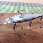 Daiwa Prorex Toddler Crank 6cm - pikkukuva 4