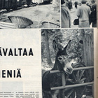 Me Kuluttajat n:o 40 1966 Itävaltaa ja Wieniä. Cullbergin ko - pikkukuva 3