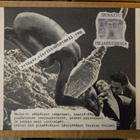 HAZARDA BRUO SONSISTEMO: Vulgaari Massa 2xCD - pikkukuva 4