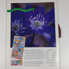 Tieteen kuvalehti vuosikerta 1993 (1-12) - pikkukuva 2