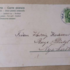 Mailick: Kauris metsässä, lumikellokimppu, p. 1905 - pikkukuva 2