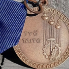 Pronssinen TYÖ ja TAITO Mitali soljella 10v. - pikkukuva 2