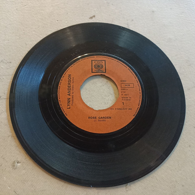 7"  Lynn Andersson Rose garden