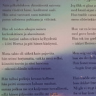 Jäämeren suomalaiset Kirja Ruijasta T Robersen - pikkukuva 2