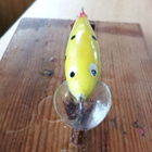 5,5cm jalokala Vaappu 2,7g - pikkukuva 3