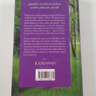 Jorma Laulaja : Tämän päivän matka - pikkukuva 2