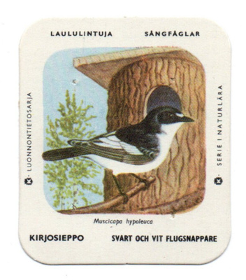Kahvilappu KIRJOSIEPPO Isompi kuvakoko