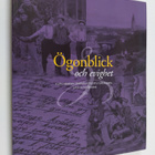 Ögonblick och evighet : kulturskatter i Svenska litteratu... - pikkukuva 1