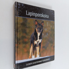 Lapinporokoira - pikkukuva 1