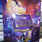 2DVD Prinsessa Ruusunen 50-vuotisjuhlajulkaisu ( SIS POSTIKU - pikkukuva 1