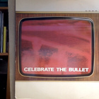 THE SELECTER :: CELEBRATE THE BULLET :: VINYYLI  LP  1981 ! - pikkukuva 2
