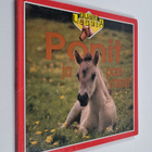 Kate Petty : Ponit ja ponivarsat - pikkukuva 1