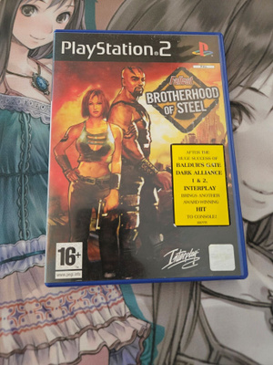 Fallout: Brotherhood of Steel (PS2)