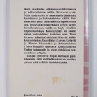 Lorenz Grönvik : Kaste ja usko : kaste luterilaisen ja he... - pikkukuva 2