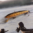 Rapala salmiakki foliolla - pikkukuva 2