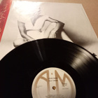 lp  Joan Baez - pikkukuva 3