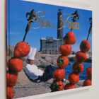 Manne ym. (editor) Stenros : Sea & food - pikkukuva 1