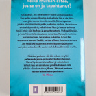 Gillian McAllister : Väärässä paikassa väärään aikaan - pikkukuva 2