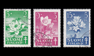 385-7 o Tuberkuloosi kukkia (1950)