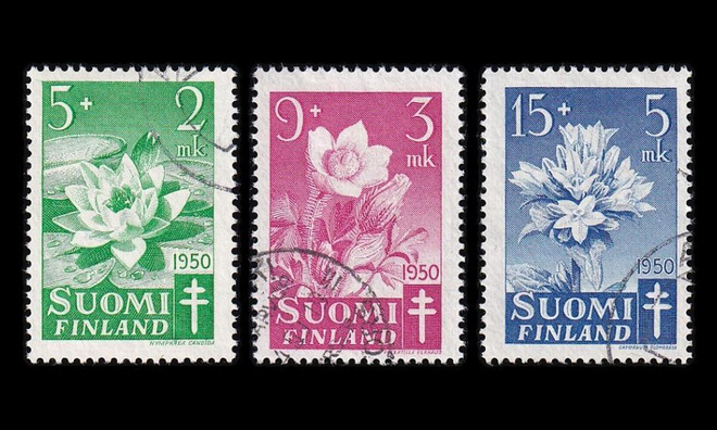 385-7 o Tuberkuloosi kukkia (1950)