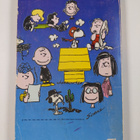 Charles M. Schulz : Tenavat juhlatuulella - pikkukuva 2
