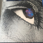 Horslips: The Book of Invasion. A Celtic Symphony LP - pikkukuva 1