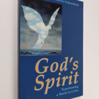 Geiko Muller-Fahrenholz : God's Spirit : transforming a w... - pikkukuva 1