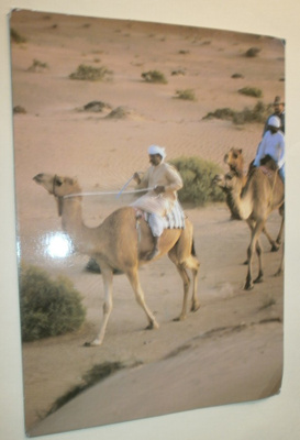 Arabiemiraatit, kameliratsastusta Hattassa, p. 2000 Suomeen