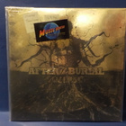 AFTER THE BURIAL - RAREDORM M-/M- U.S 2018 LP - pikkukuva 1