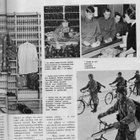 Suomalainen n:o 2 1966 Suomen kalat. Asemiehen asu. Miljoona - pikkukuva 5