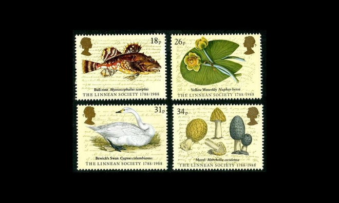 Iso-Britannia 1131-4 ** Linné-yhdistys 200v (1988)