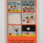 Charles Monroe Schulz : Slide, Charlie Brown! Slide! - VO... - pikkukuva 2