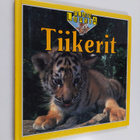 Kate Petty : Tiikerit - pikkukuva 1