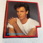Rick Springfield juliste ja tarra + keräilykuva - pikkukuva 2