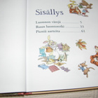 Disney Nalle Puh Satujen havinaa - pikkukuva 2