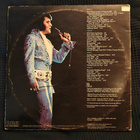 Elvis in Concert - pikkukuva 2
