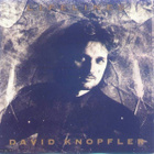 DAVID KNOPFLER  ::  LIFELINES  ::  VINYYLI.  LP         1991 - pikkukuva 1