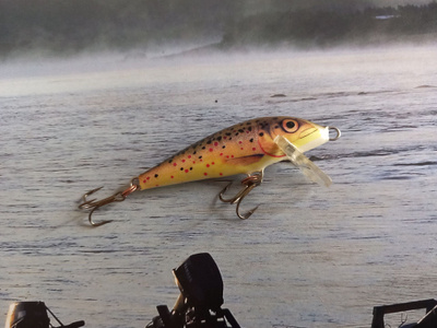 Rapala CD-5