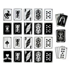 HARRY POTTER DARK ARTS PLAYING CARDS (55 401) peltirasiassa, - pikkukuva 2