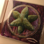 Suomenlinnan suolakurkut - liemi CD - pikkukuva 1