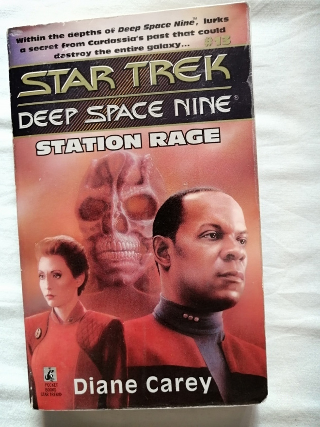 Star Trek DS9 # 13: Station Rage (Carey, Diane)