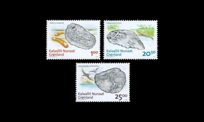 Grönlanti 512-4 ** Fossiililöytöjä (2008)