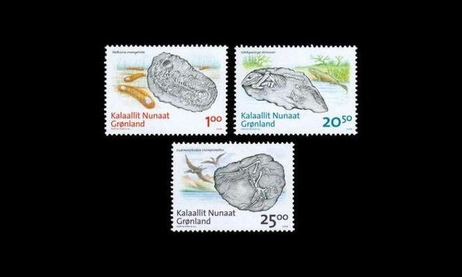Grönlanti 512-4 ** Fossiililöytöjä (2008)
